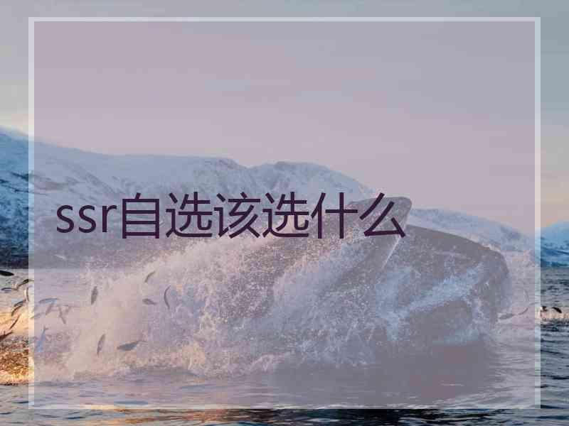 ssr自选该选什么