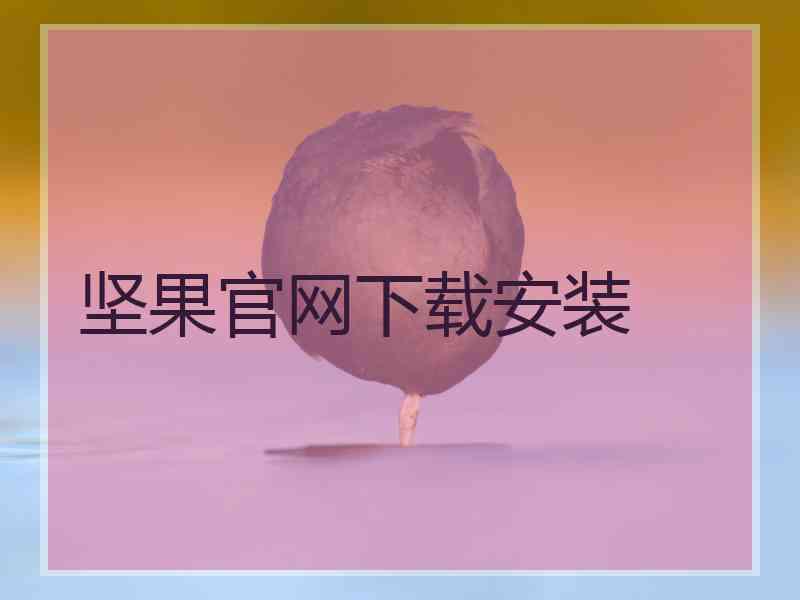 坚果官网下载安装