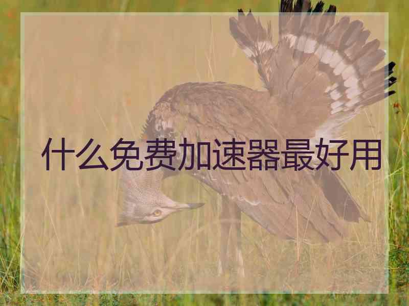 什么免费加速器最好用