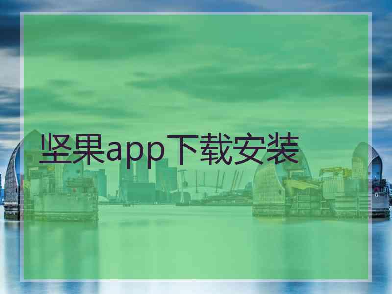 坚果app下载安装
