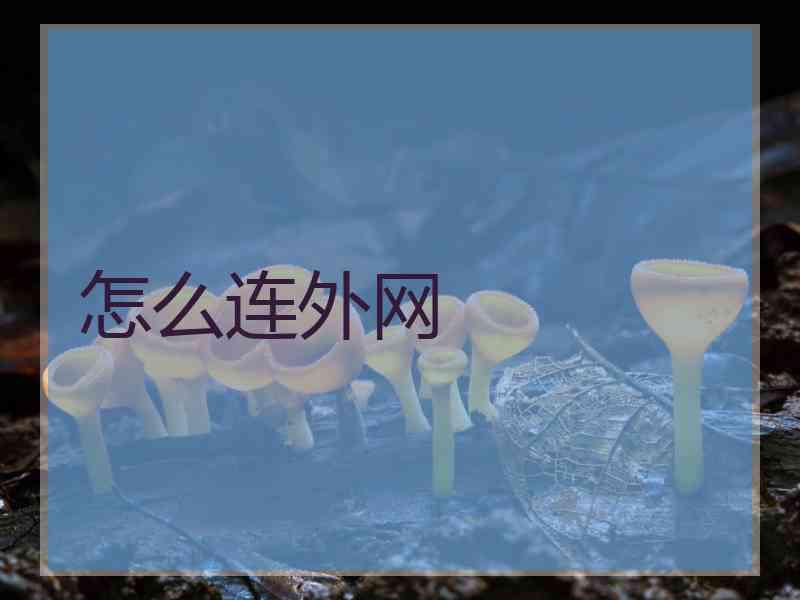 怎么连外网
