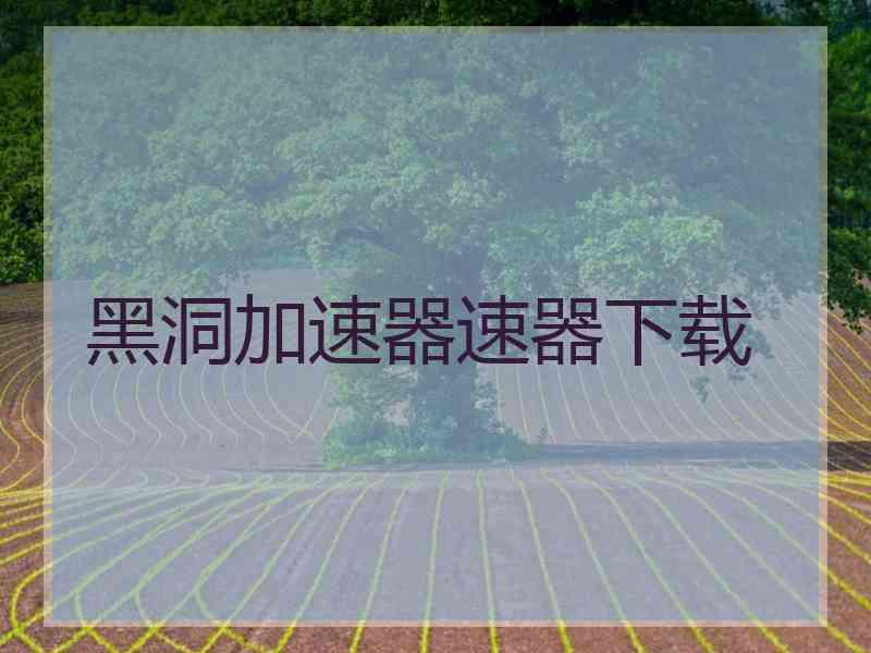 黑洞加速器速器下载