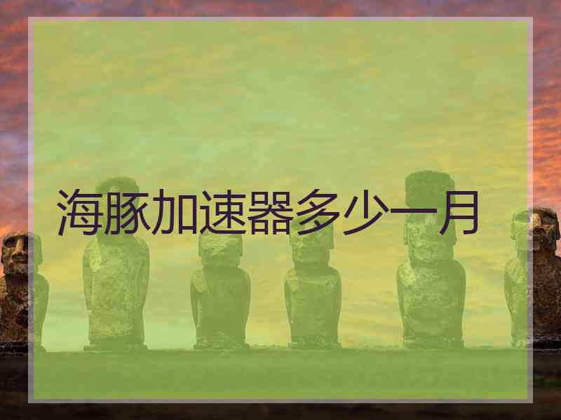 海豚加速器多少一月