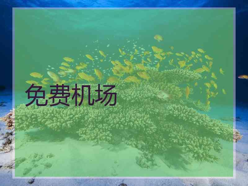 免费机场