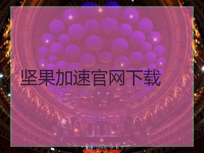 坚果加速官网下载