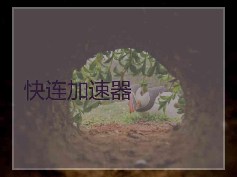 快连加速器