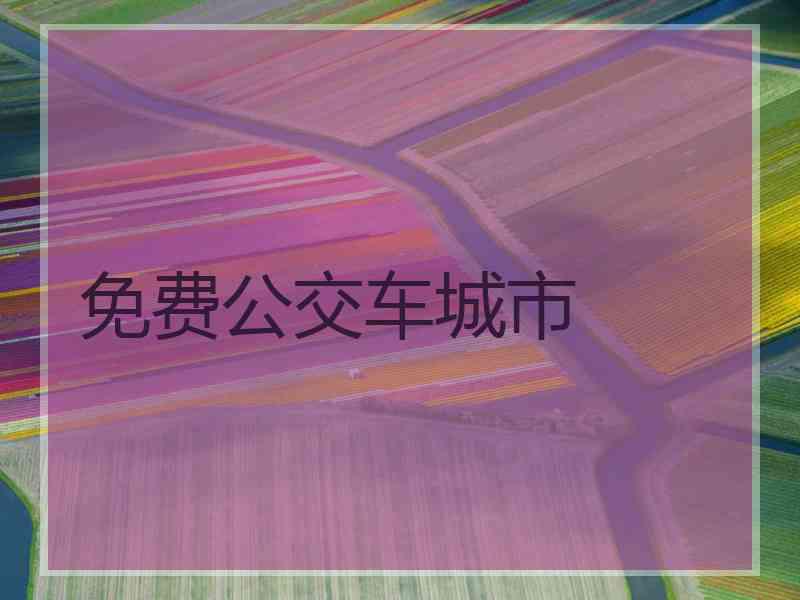 免费公交车城市
