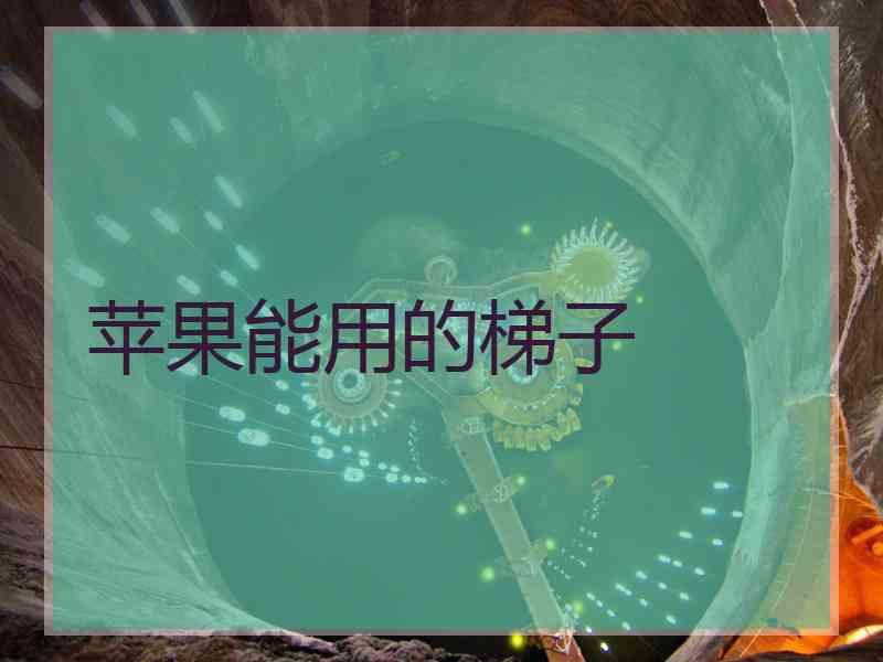 苹果能用的梯子