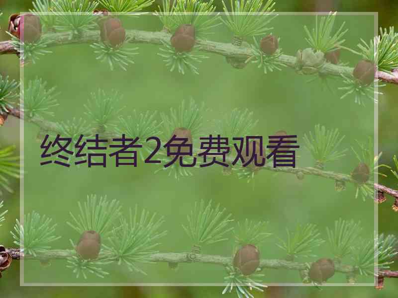 终结者2免费观看