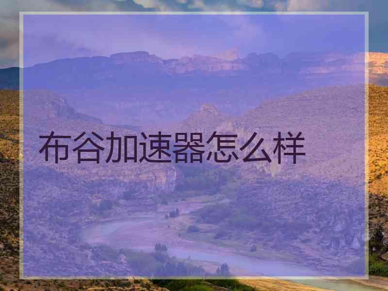 布谷加速器怎么样