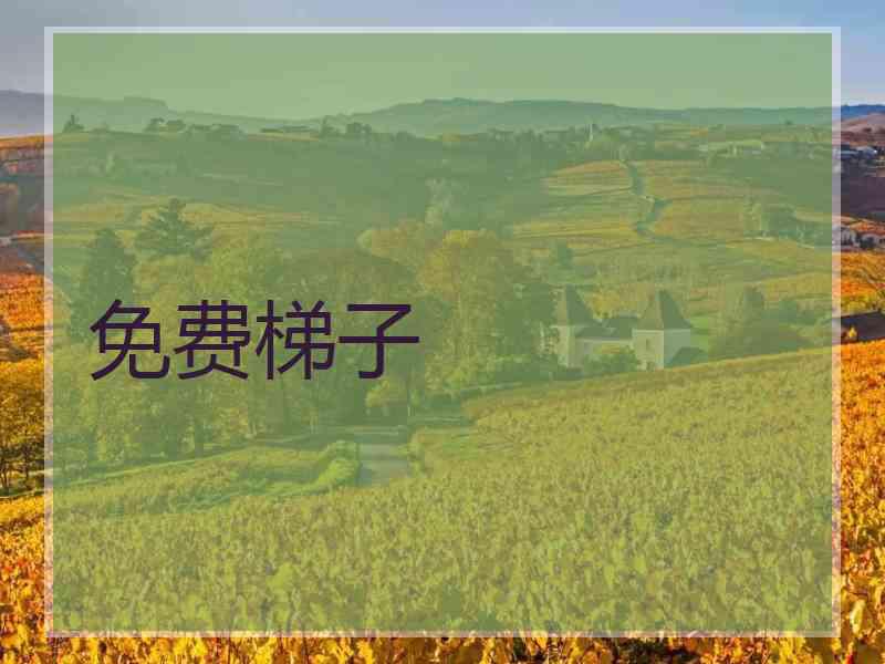 免费梯子