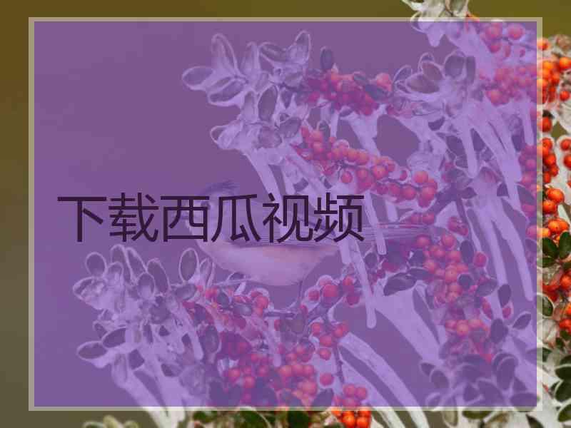 下载西瓜视频
