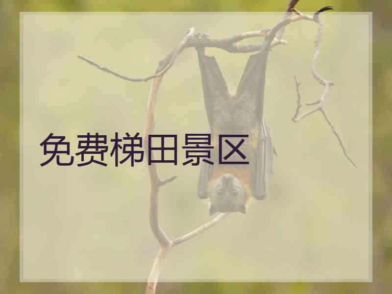 免费梯田景区