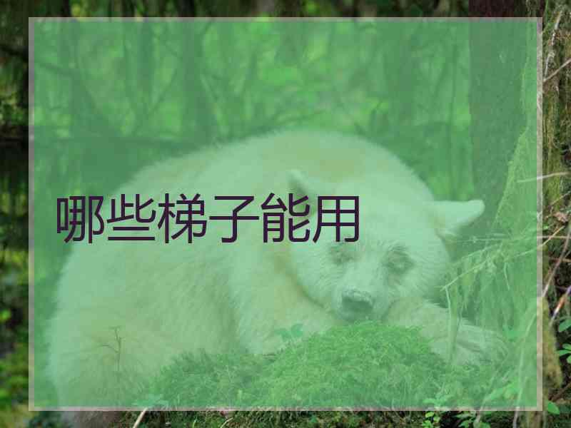 哪些梯子能用