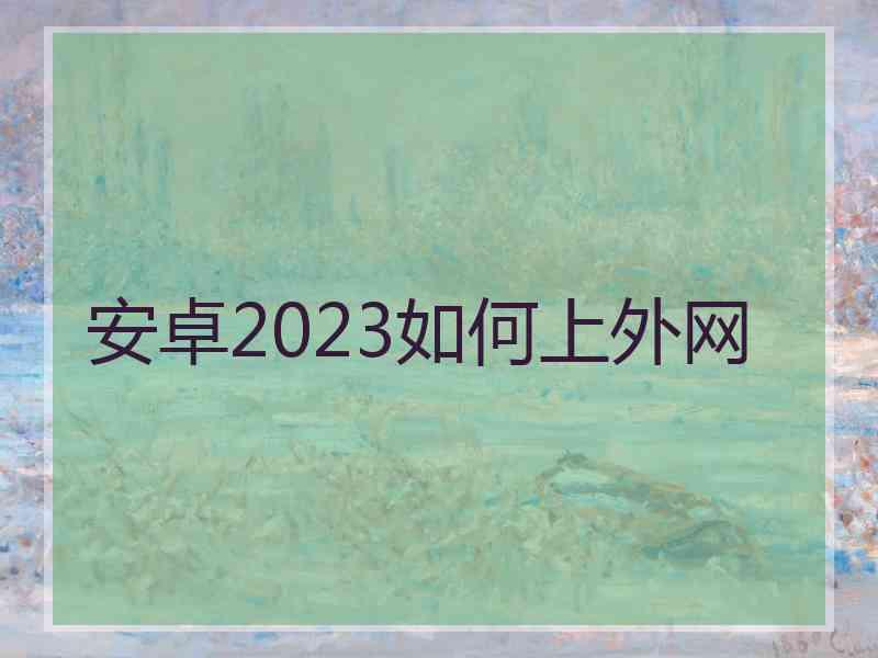安卓2023如何上外网