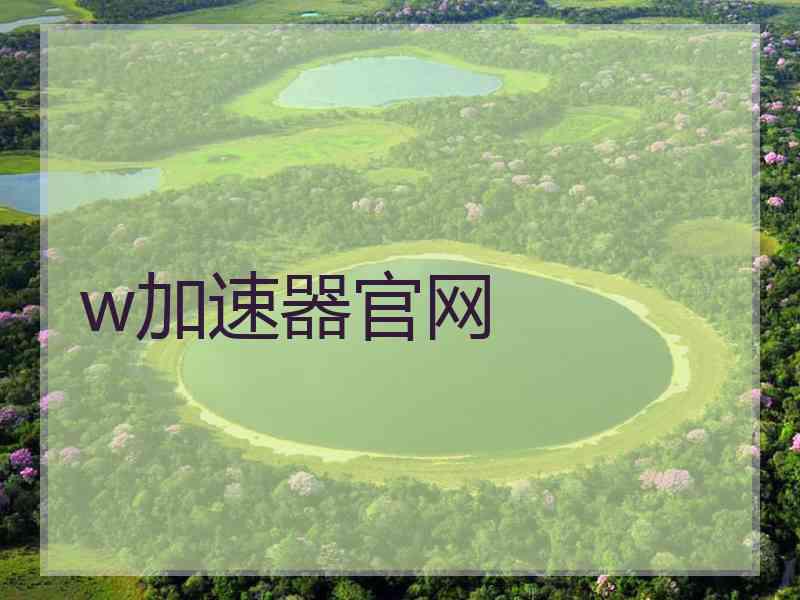 w加速器官网