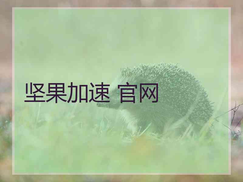 坚果加速 官网