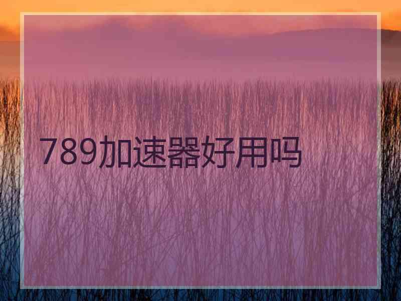 789加速器好用吗