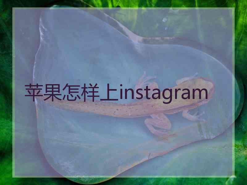 苹果怎样上instagram