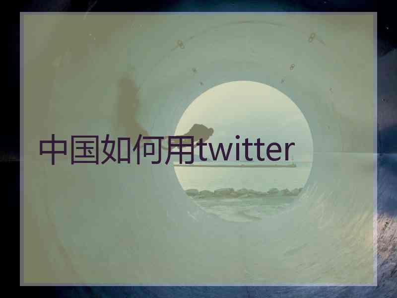 中国如何用twitter