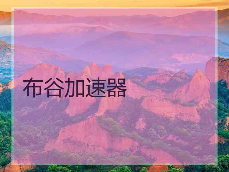 布谷加速器