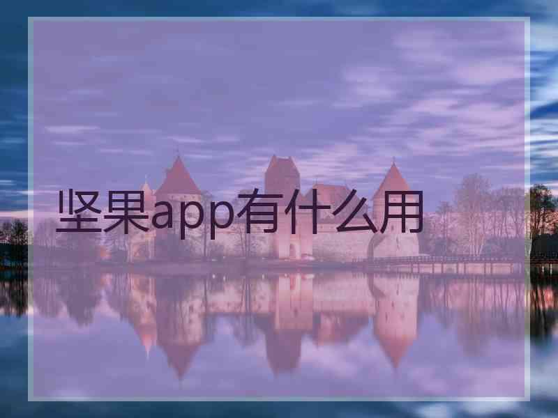坚果app有什么用
