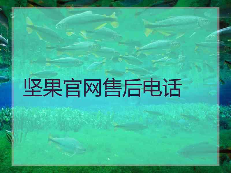 坚果官网售后电话
