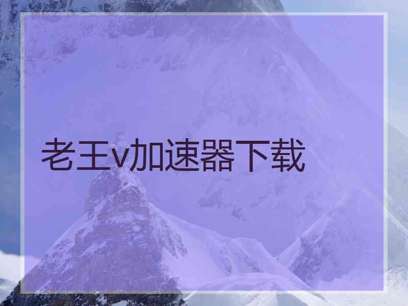 老王v加速器下载